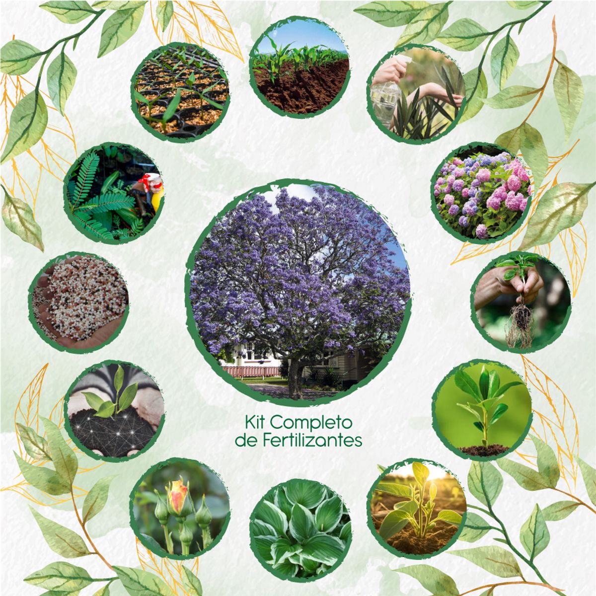 GENERICO - Kit Completo De Fertilizantes Para Árbol Pavito Chingale