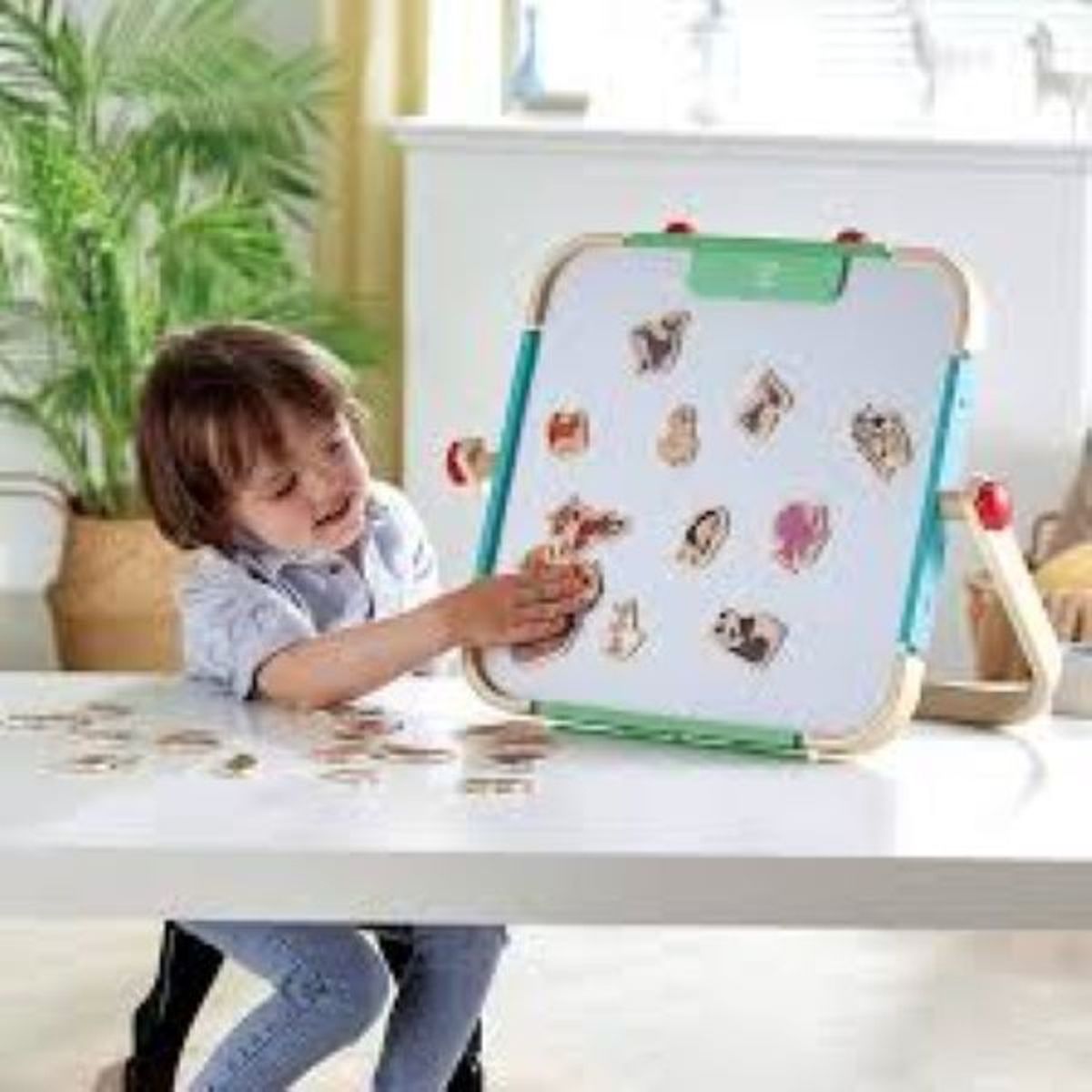 HAPE - ANIMALES MAGNÉTICOS