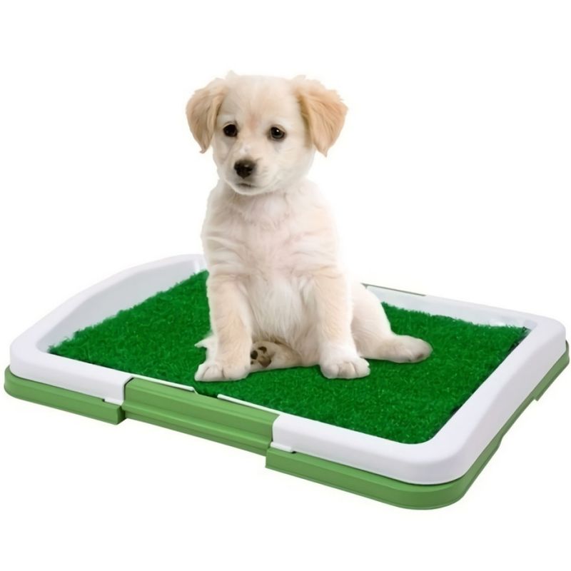 GENERICO - Tapete de baño grande de entrenamiento sanitario para perros Potty
