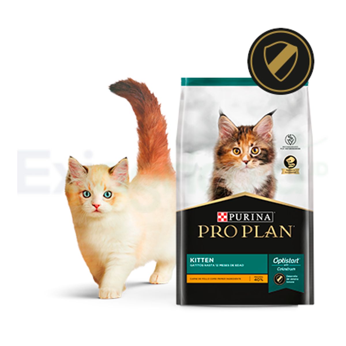 PRO PLAN - Pro Plan Gato Kitten Pollo – 1.5 kg