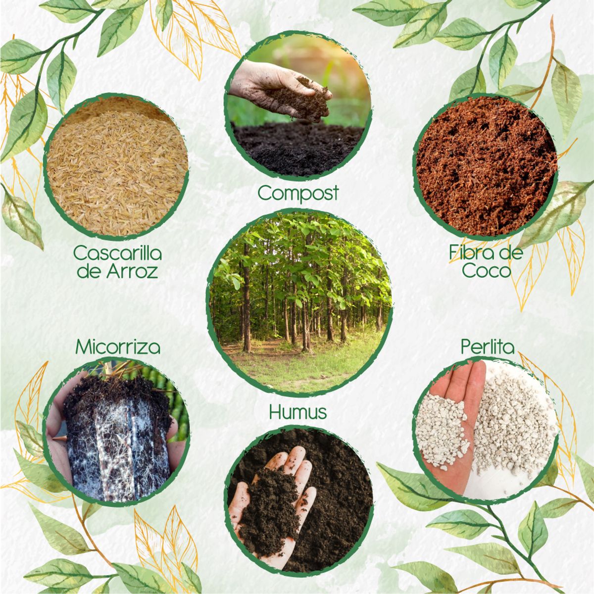 GENERICO - Kit De Acondicionadores De Suelos Para Árbol Teca Escarif