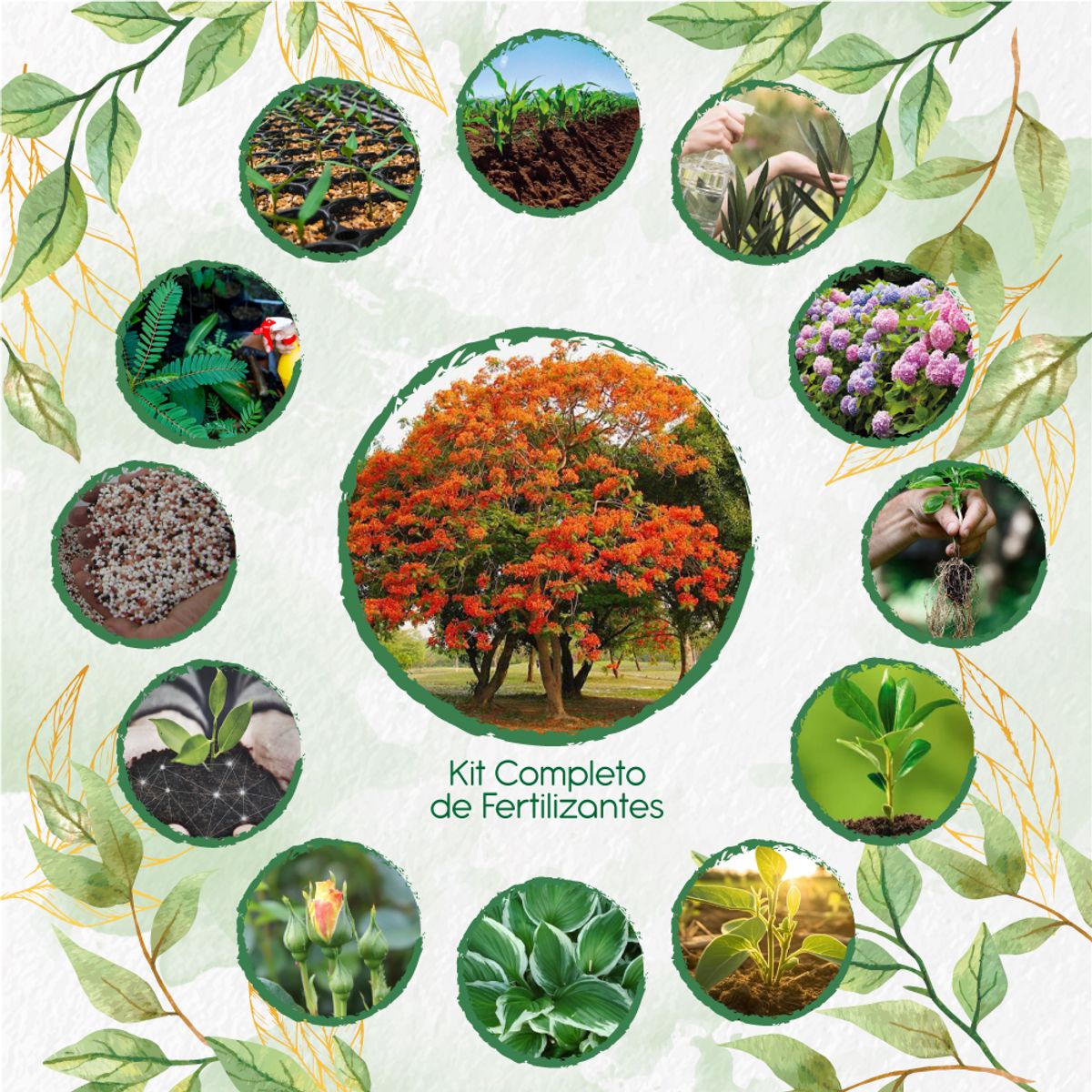 GENERICO - Kit Completo De Fertilizantes Para Árbol Tulipán Africano