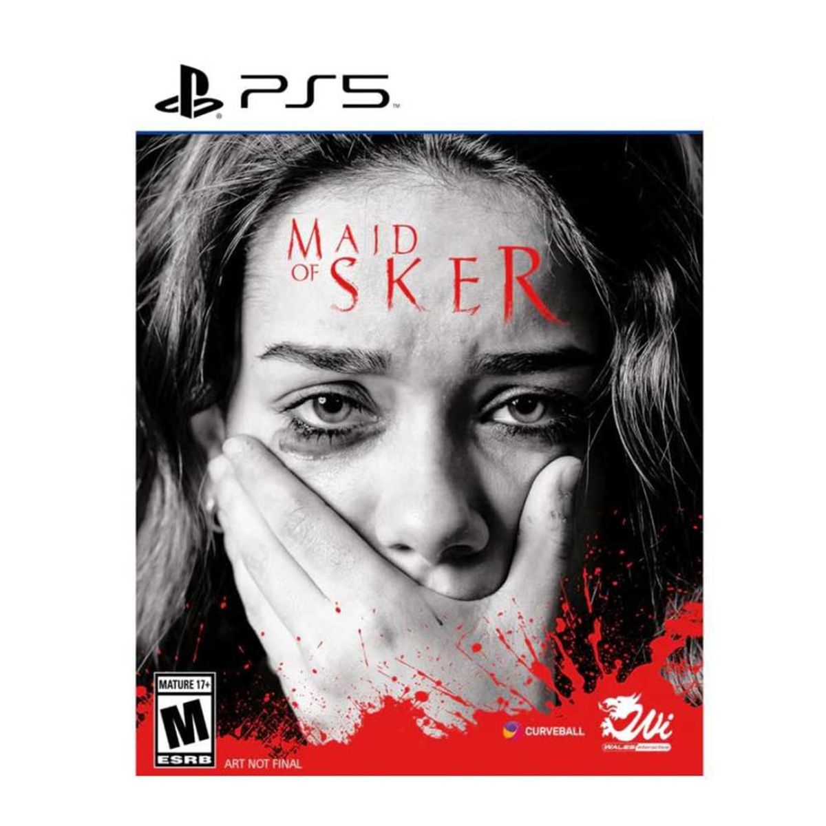 PLAYSTATION - Maid of Sker - PlayStation 5