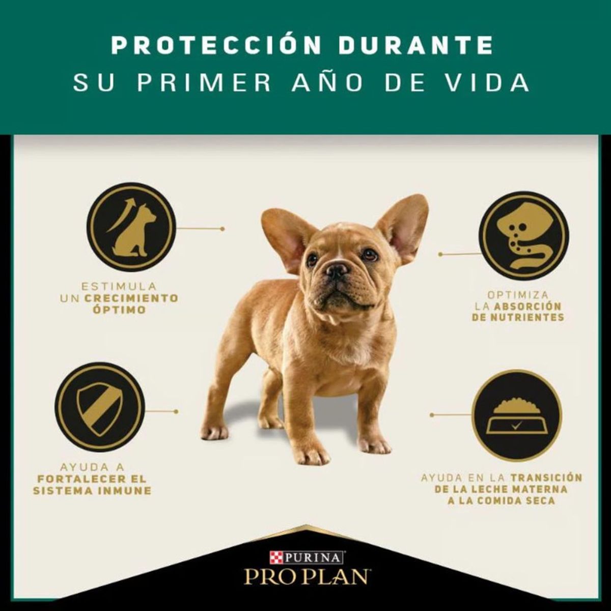 PRO PLAN - Pro Plan Cachorros Razas Pequeñas – 3 kg
