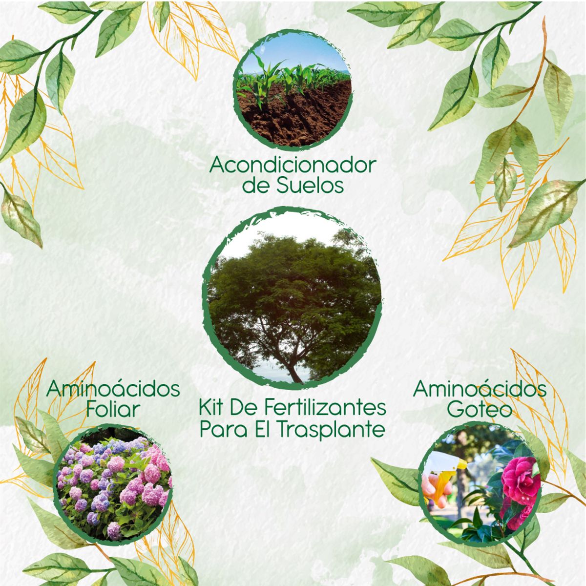 GENERICO - Kit De Fertilizantes Para El Trasplante De Árbol Yopo Café