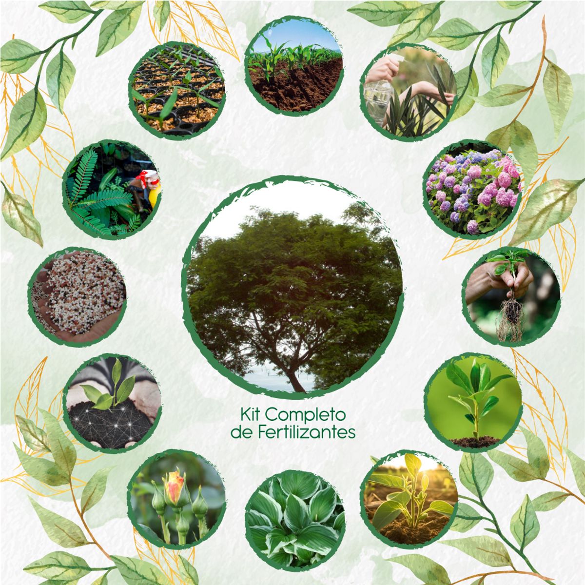 GENERICO - Kit Completo De Fertilizantes Para Árbol Yopo Café