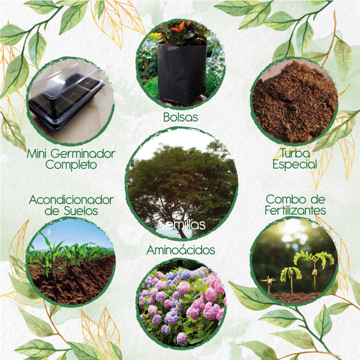 GENERICO - 100 Semillas De Árbol Yopo Café + Kit De Germinación Especial