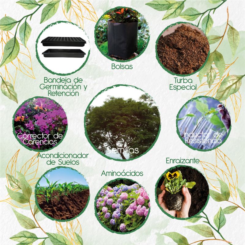 GENERICO - 200 Semillas De Árbol Yopo Café + Kit De Producción