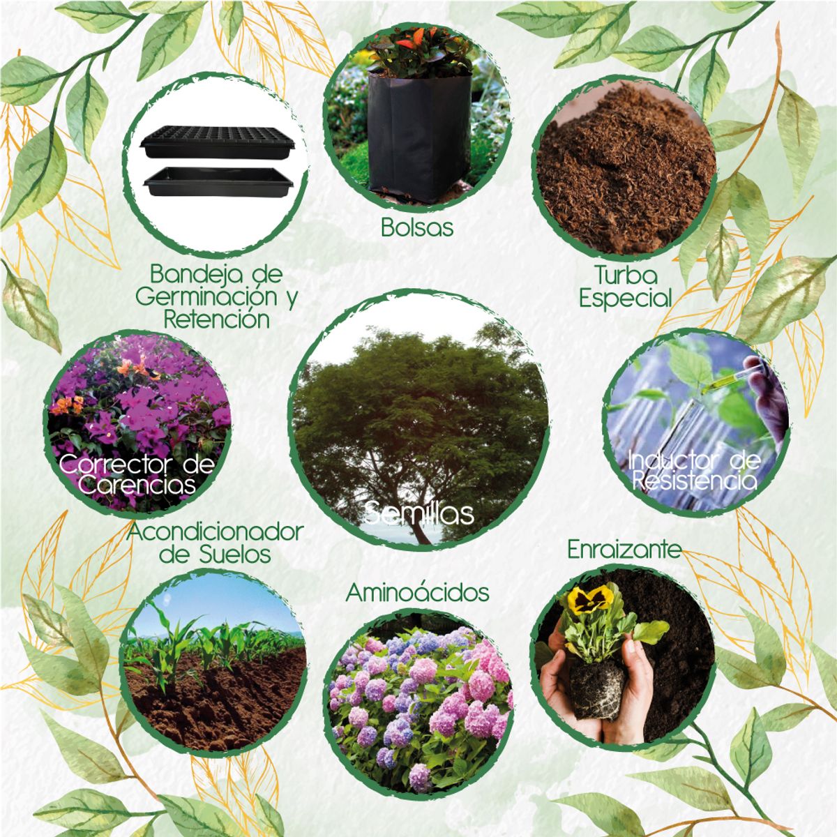 GENERICO - 200 Semillas De Árbol Yopo Café + Kit De Siembra