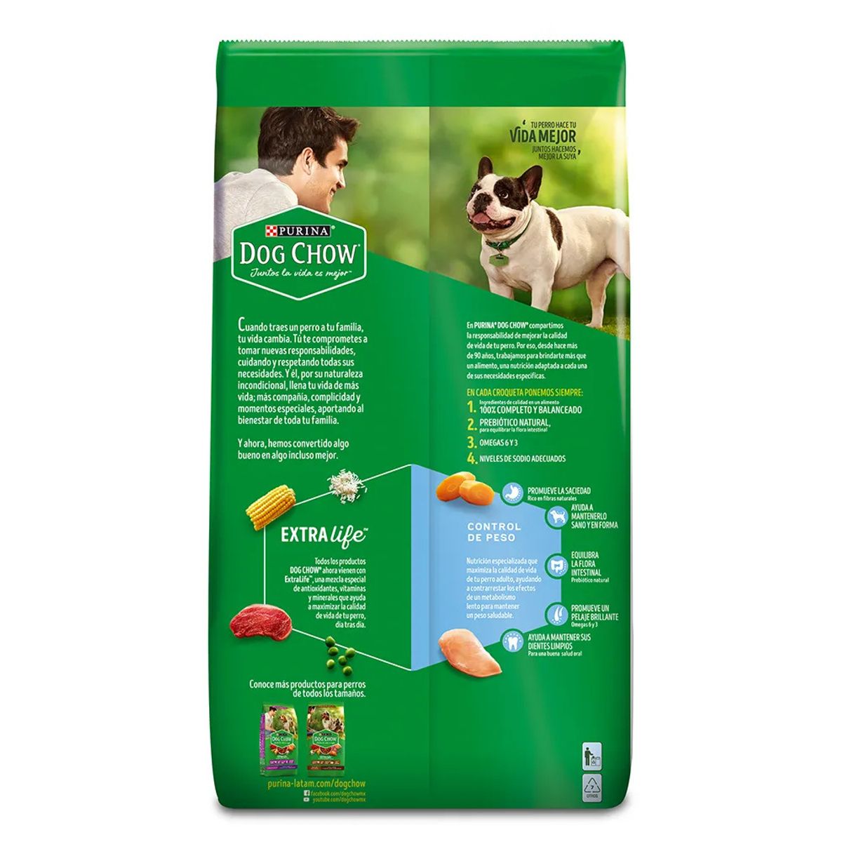 DOG CHOW - Dog Chow Adultos Sano y en Forma – 2 kg