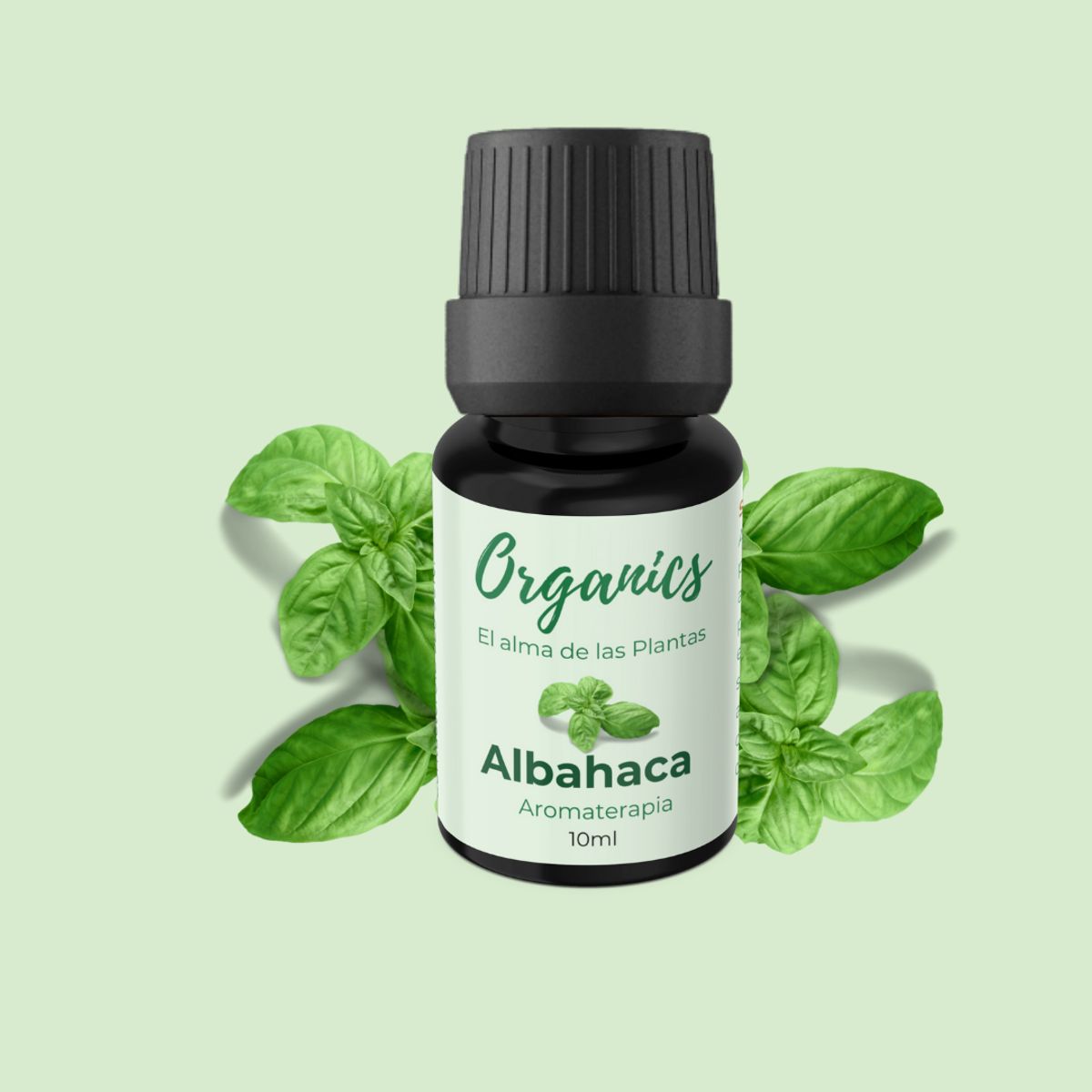 GENERICO - Kit Aromaterapia 4 aceites Esenciales