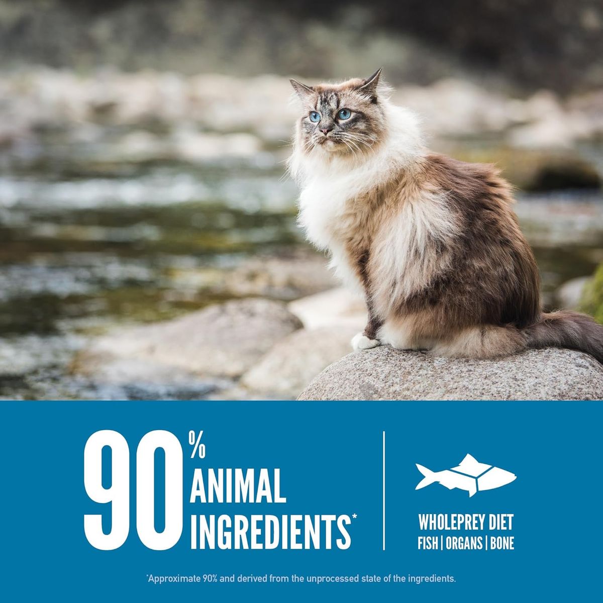 ORIJEN - Alimento Orijen Six Fish Cat  1800g