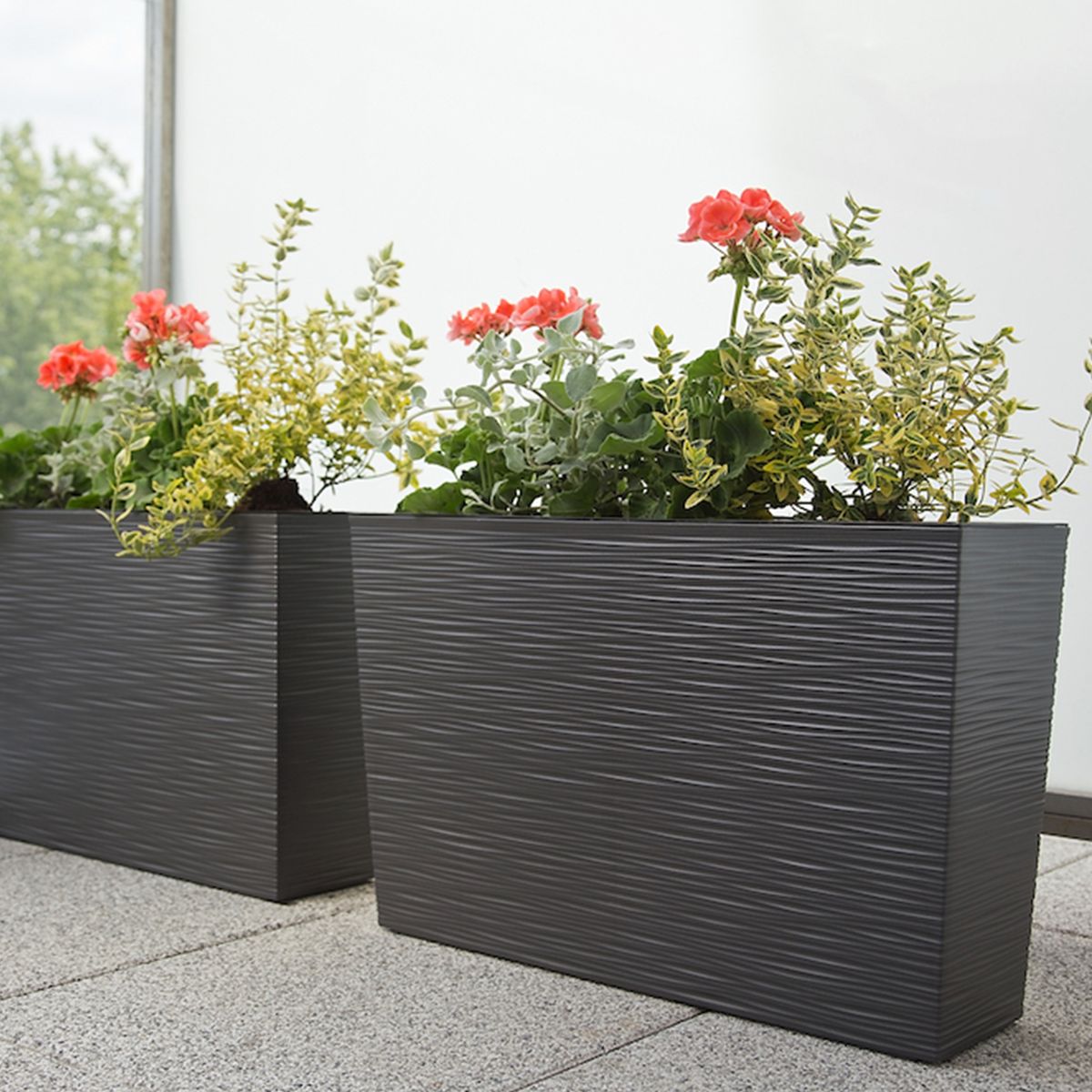 RENOVEMOS - MATERA WERBENA LABRADO