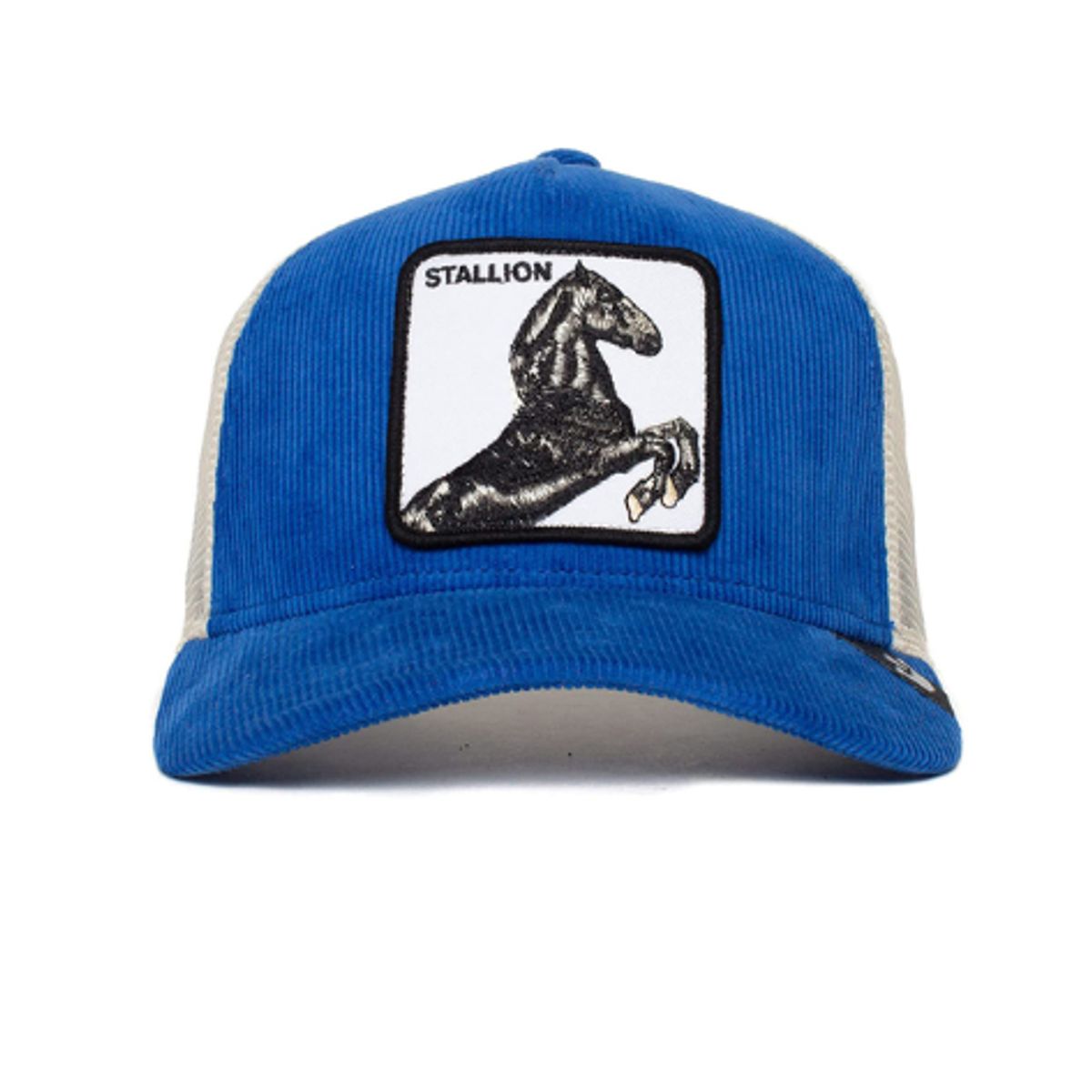 GOORIN BROS - GORRA GOORIN BROS STALLION PANA