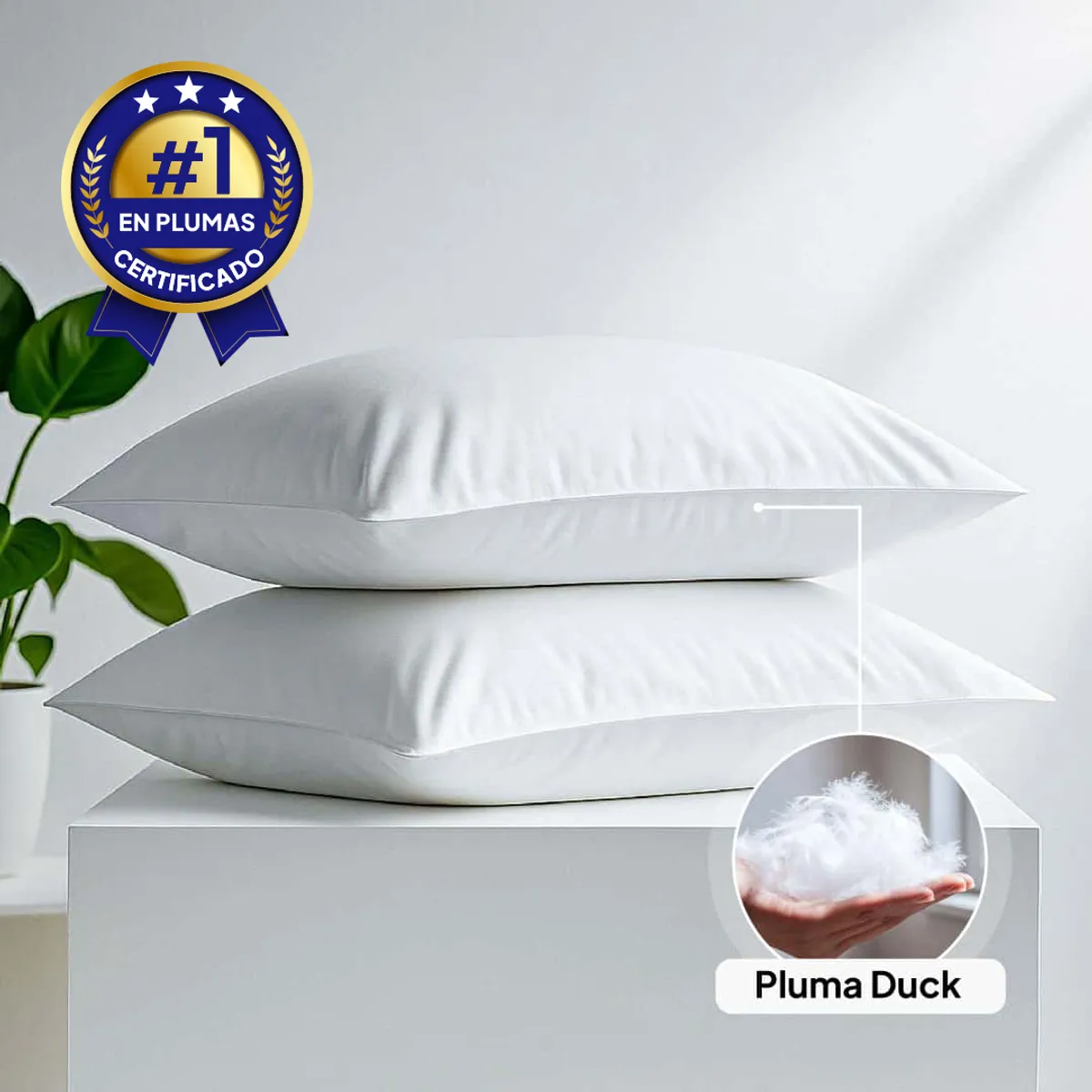 PLUMA LUNA - Almohada 100% en plumas pato estandar 50x90