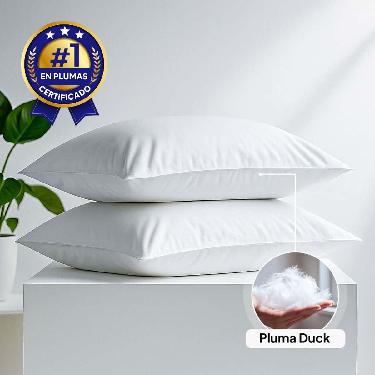 PLUMA LUNA - Almohada 100% en plumas pato estandar 50x90