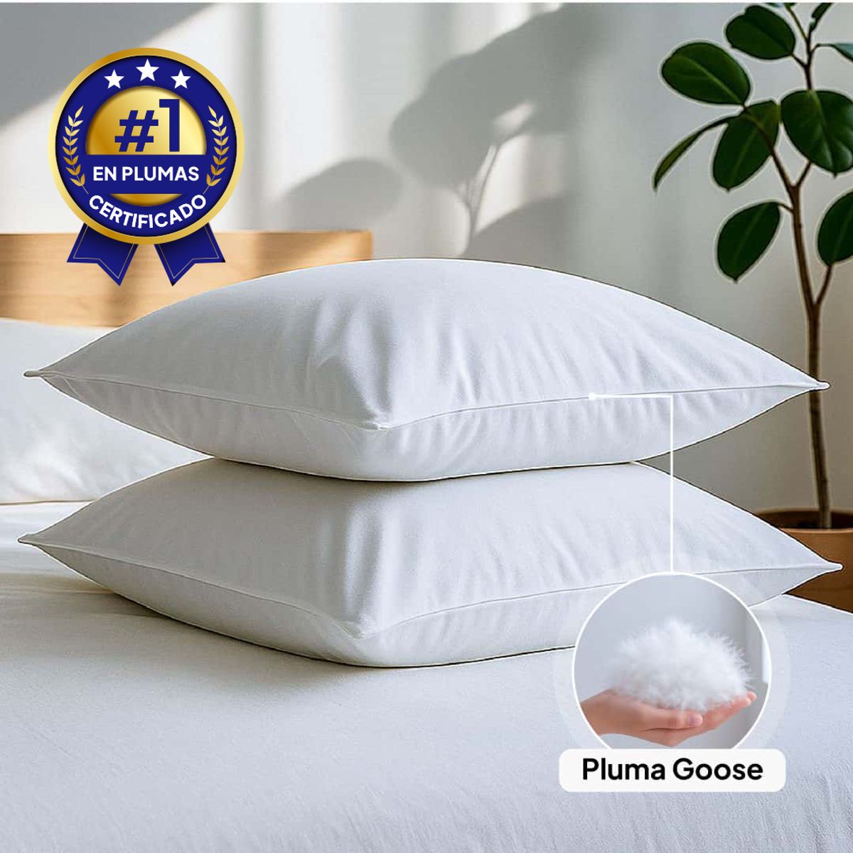 PLUMA LUNA - Almohada 100% en plumas goose - ganso Queen  50x80