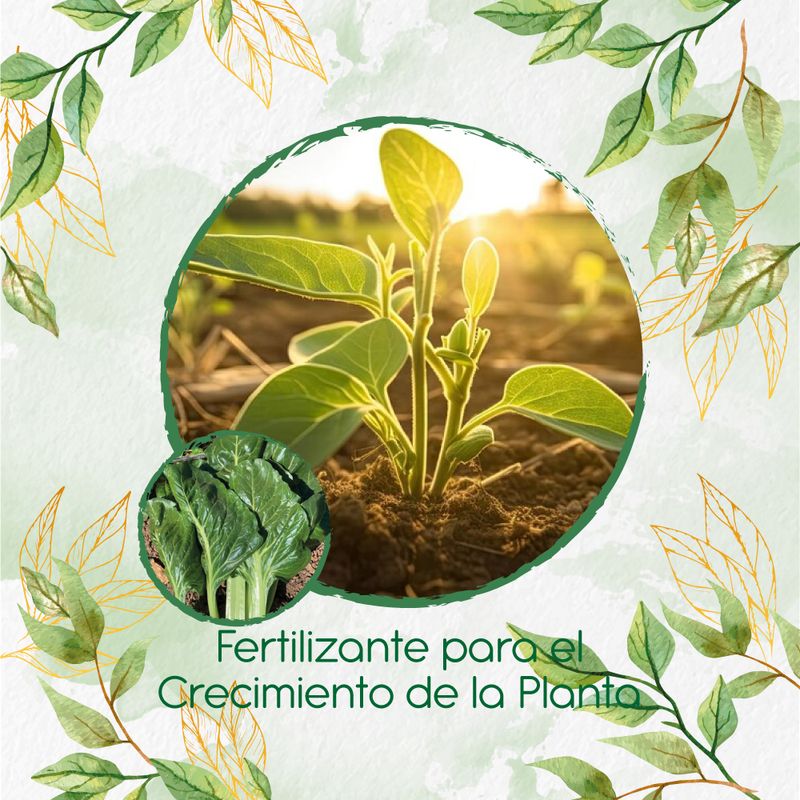GENERICO - Fertilizante Para El Crecimiento De Acelga Prius