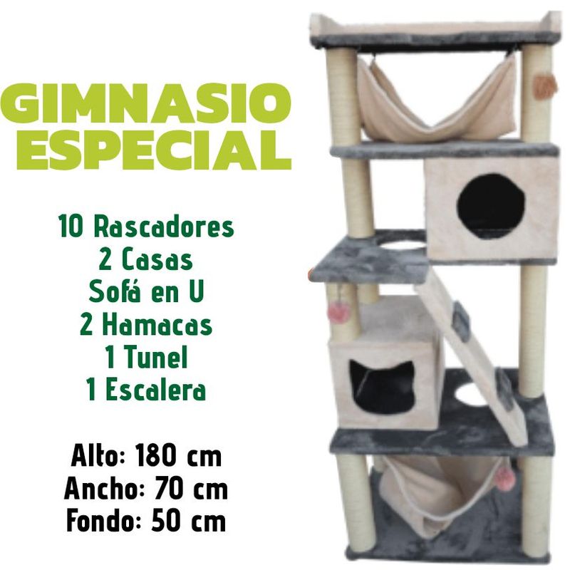 GENERICO - GIMNASIO PARA GATO ESPECIAL