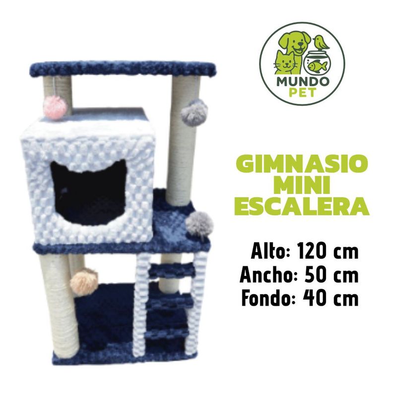 GENERICO - GIMNASIO PARA GATO MINI ESCALERA