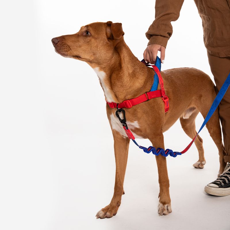 GENERICO - ZeeDog x Marvel Softer Walk Harness ref Spider-man talla S