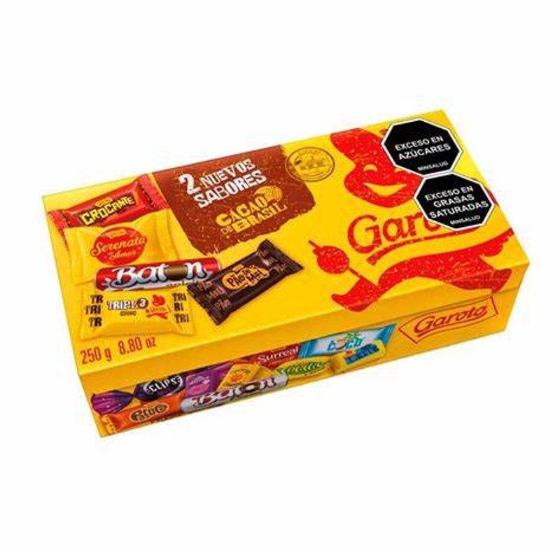 GAROTO - Garoto Bombones De Chocolate Surtidos 250g