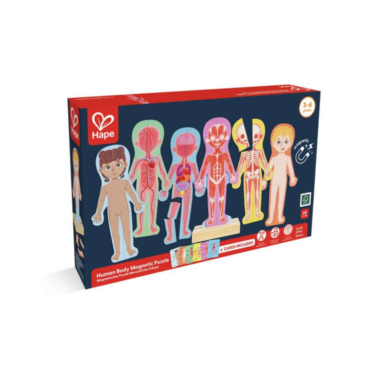 HAPE - MAGNÉTICOS CUERPO HUMANO