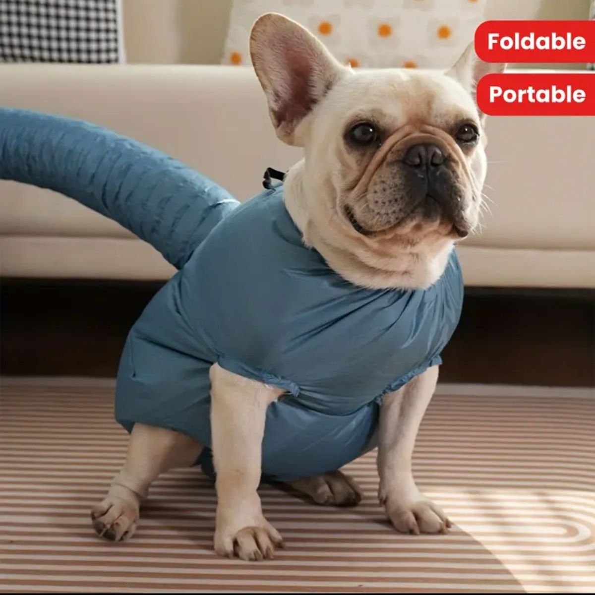 GENERICO - Bolsa de secado rápido para mascotas Talla S