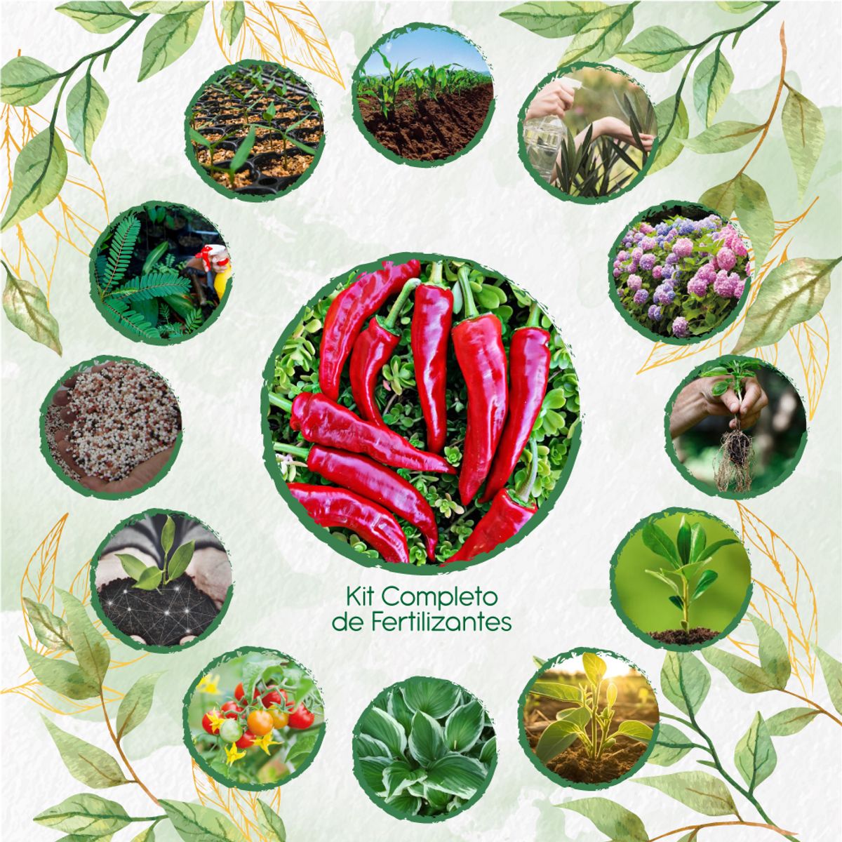 GENERICO - Kit Completo De Fertilizantes Para Ají Cacho