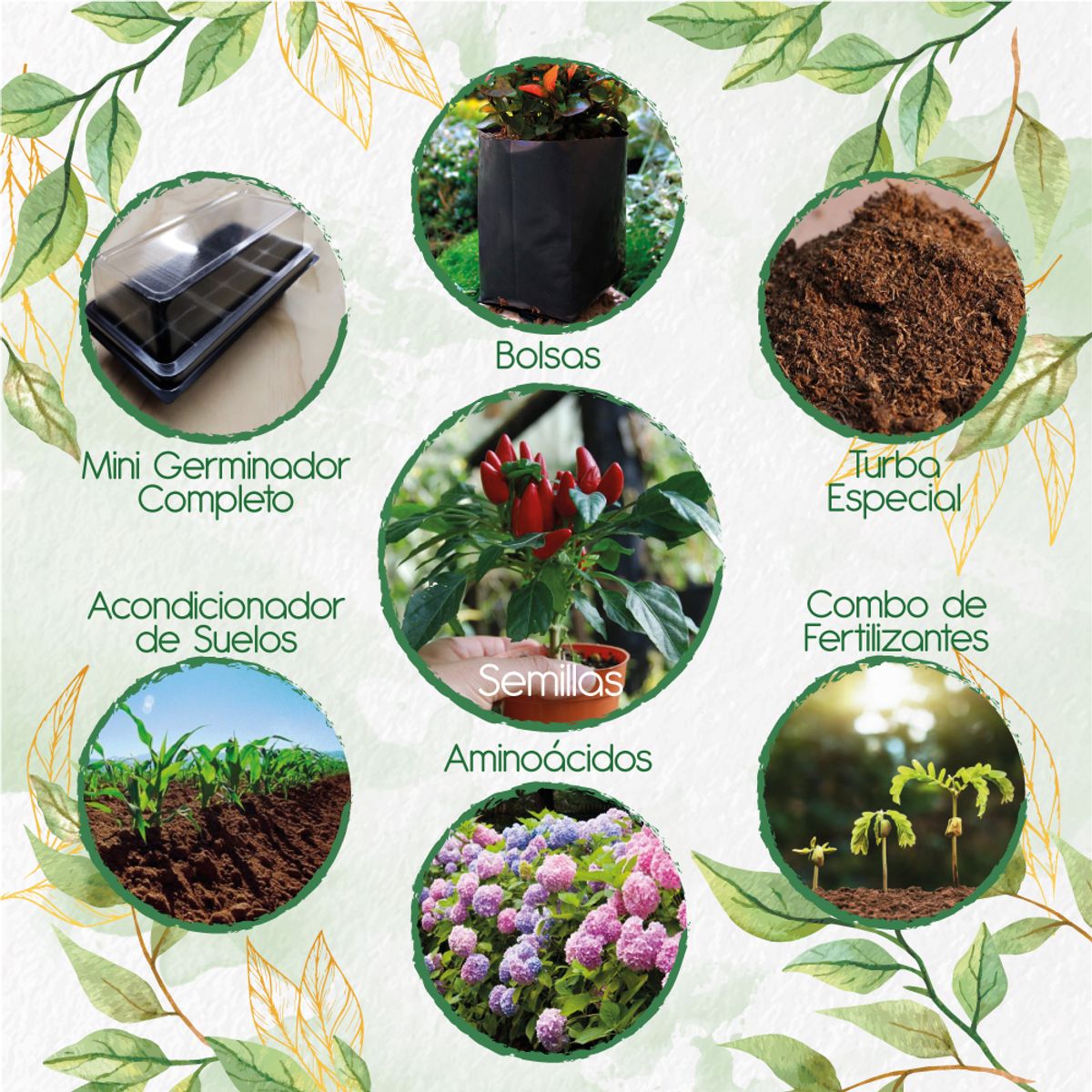 GENERICO - 200 Semillas De Ají Cayenne + Kit De Germinación Especial