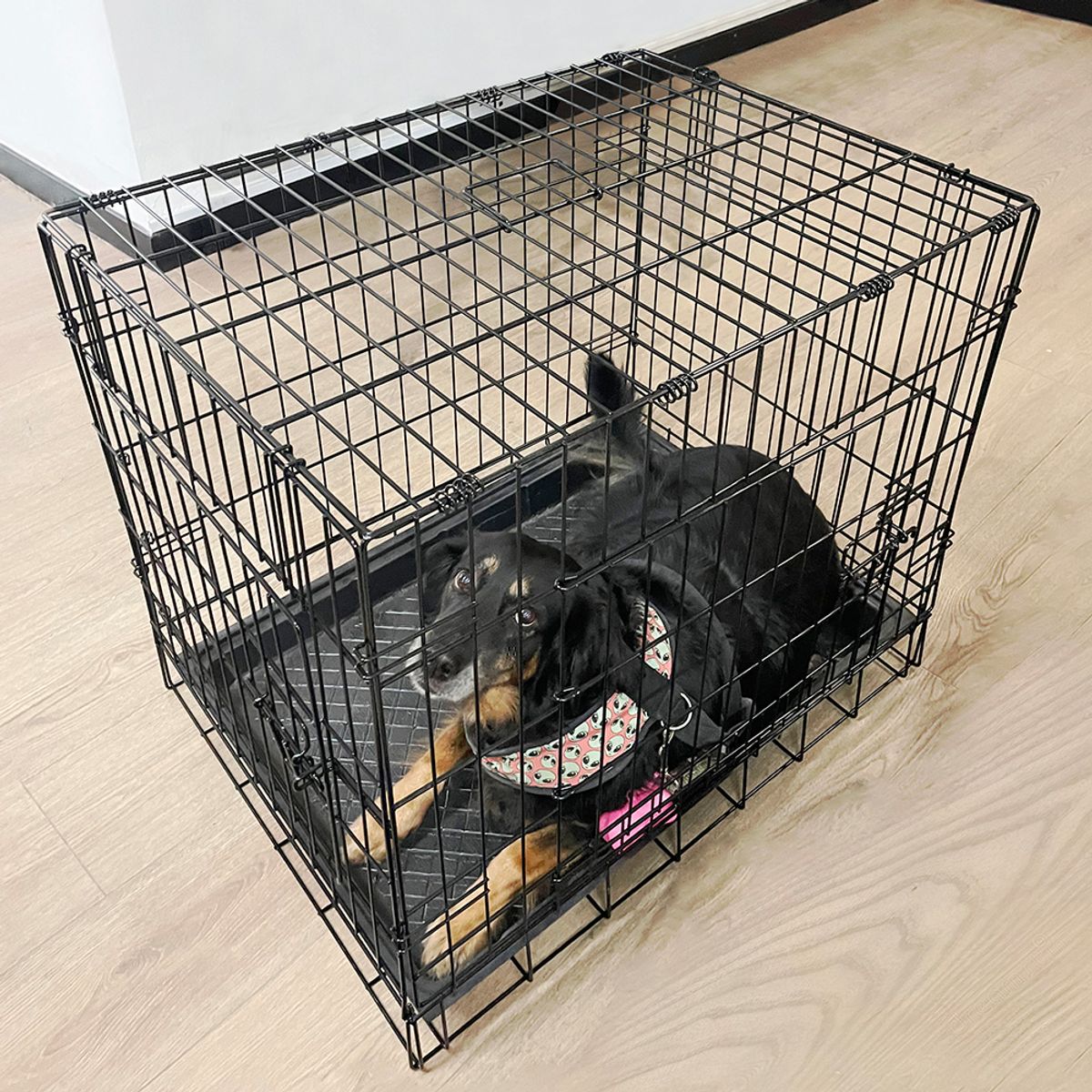 REJIPLAS - Guacal para Perros Razas Medianas con Bandeja plastica en Acero pintado negro