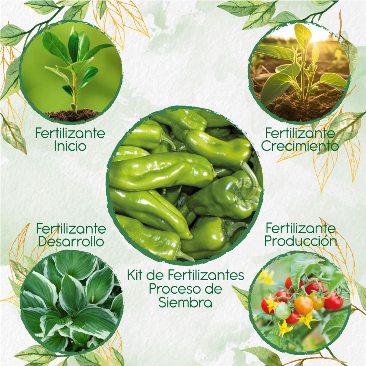 GENERICO - Kit De Fertilizantes Para La Siembra De Ají Cubanelle