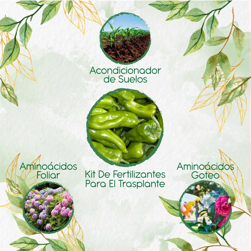 GENERICO - Kit De Fertilizantes Para El Trasplante De Ají Cubanelle