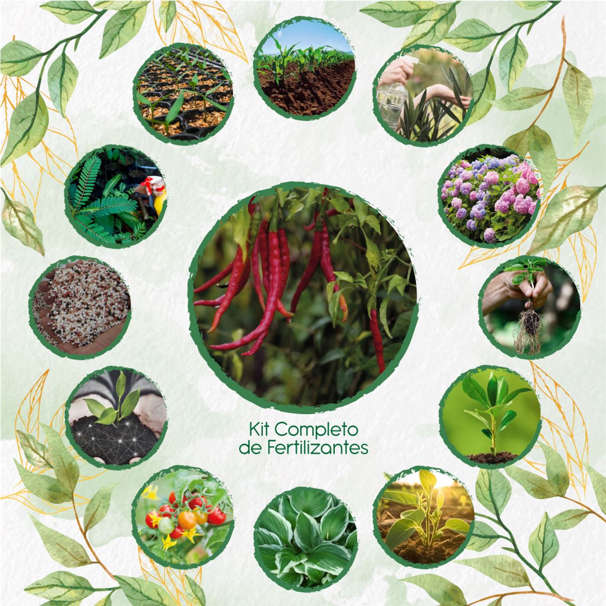 GENERICO - Kit Completo De Fertilizantes Para Ají De Árbol