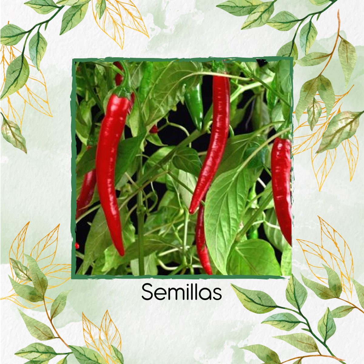 GENERICO - Fertilizante Inductor De Resistencia Para Ají De Árbol