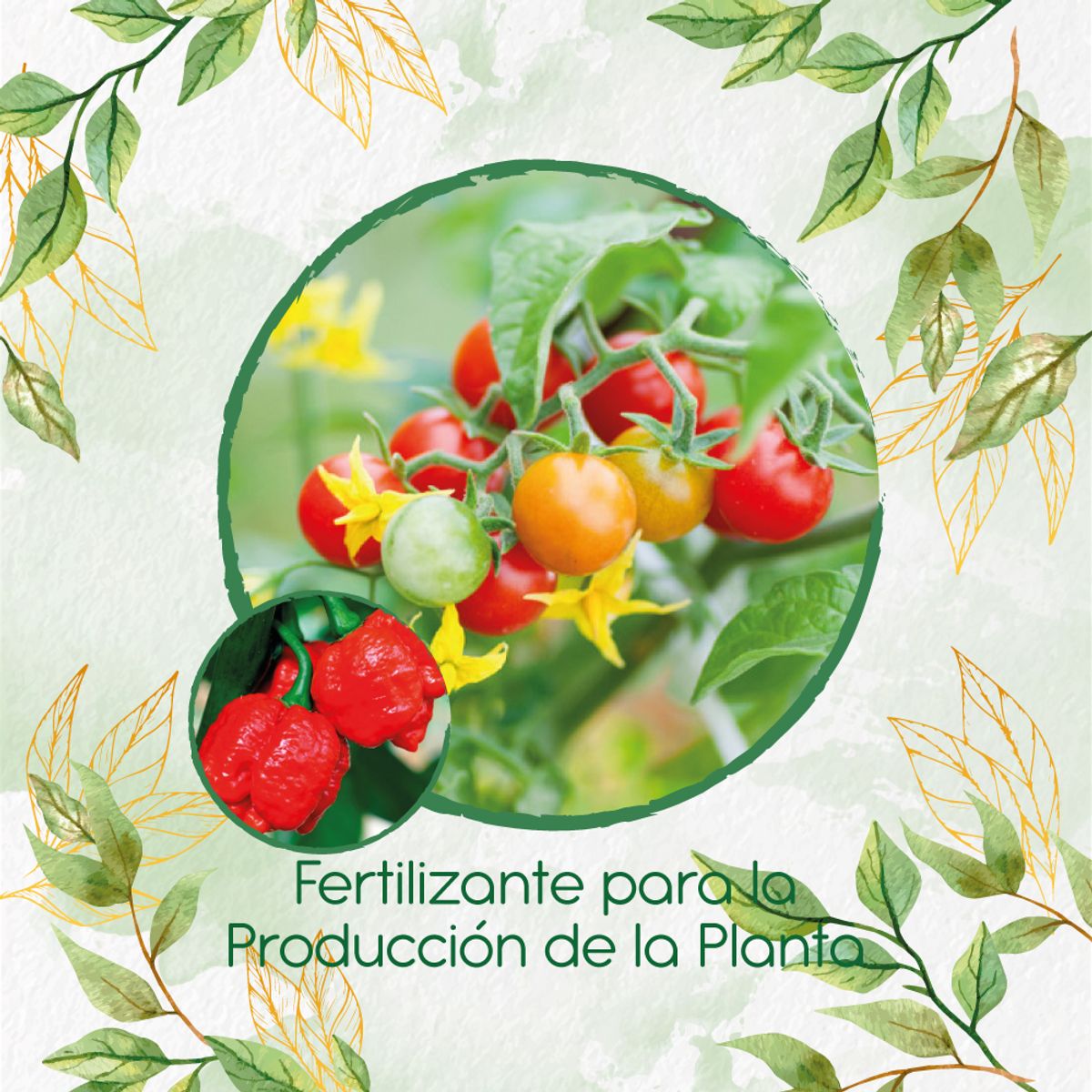 GENERICO - Fertilizante Para La Producción De Ají Escorpions