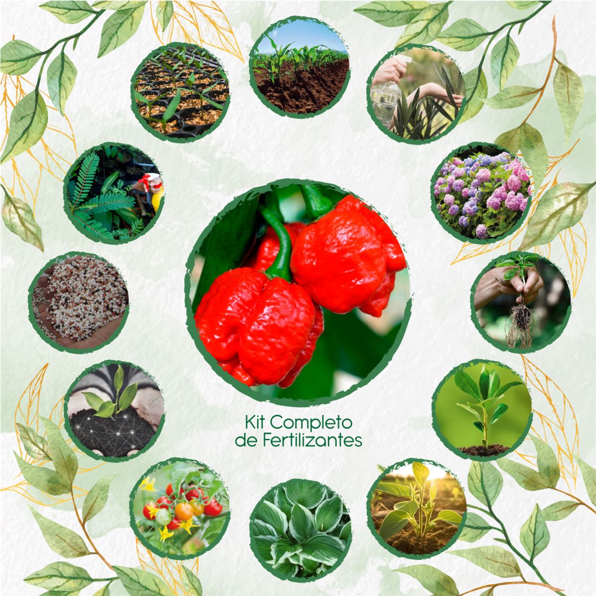 GENERICO - Kit Completo De Fertilizantes Para Ají Escorpions