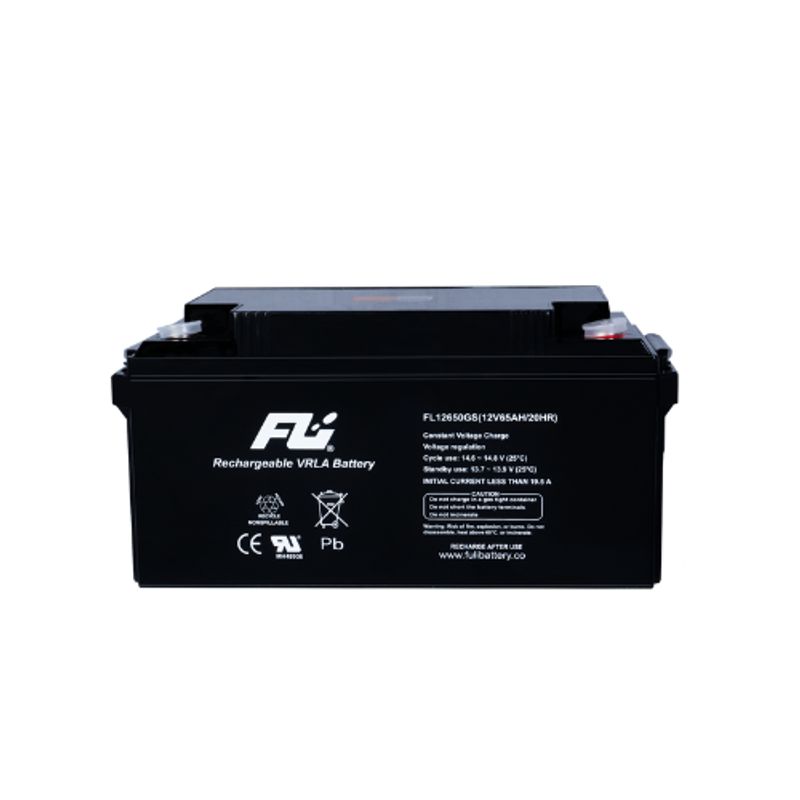 FULIBATTERY - Baterías Sellada 12V-65AH Fulibattery