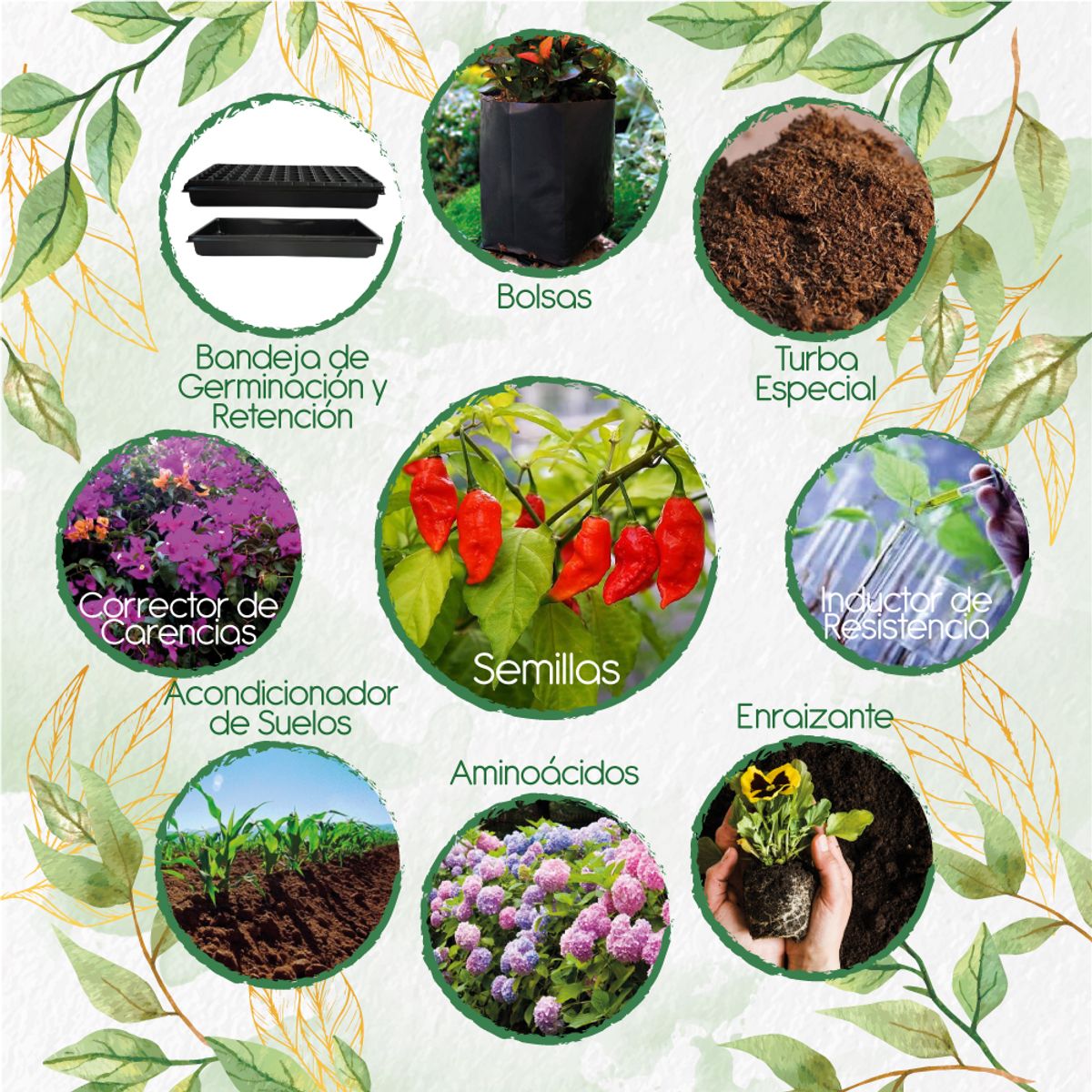 GENERICO - 40 Semillas De Ají Ghost + Kit De Producción