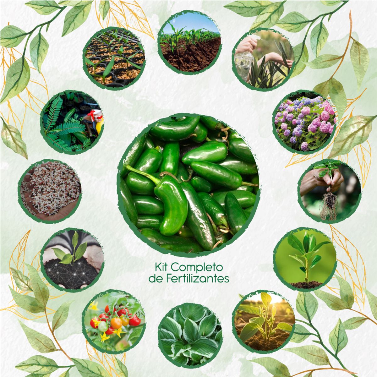GENERICO - Kit Completo De Fertilizantes Para Ají Jalapeño