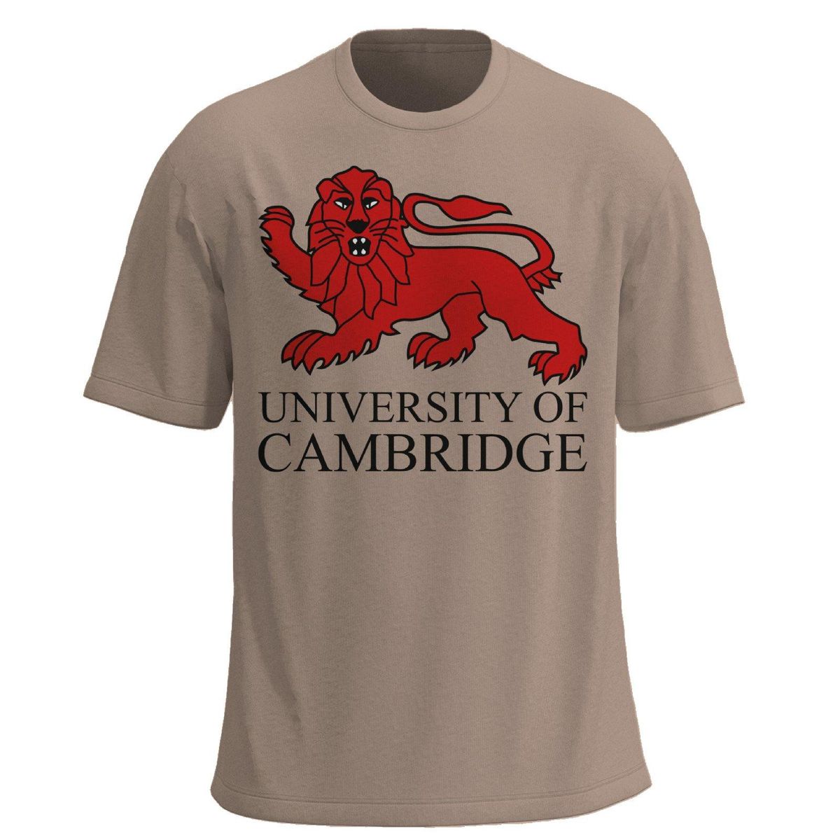 KOAJ - KOAJ Camiseta manga corta con estampado de Cambrigde. Hombre