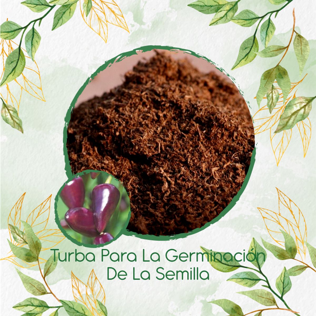 GENERICO - Turba Canadiense Especial Para Semillas De Ají Habanero Morado