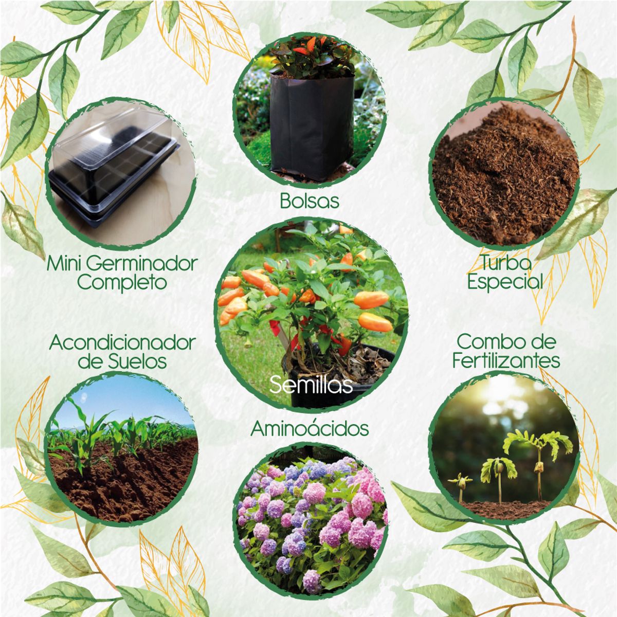 GENERICO - 40 Semillas De Ají Habanero Naranja + Kit De Germinación Especial