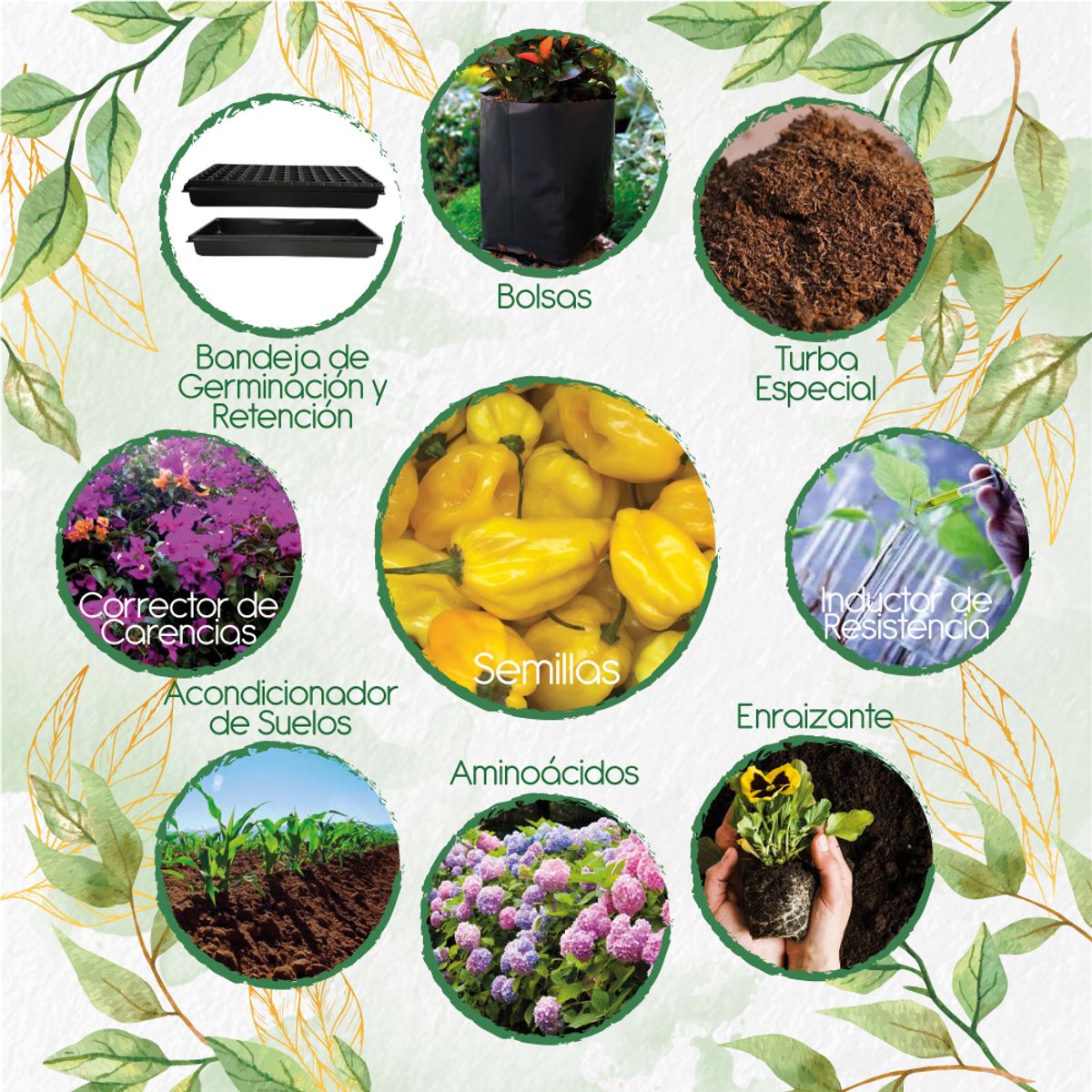 GENERICO - 40 Semillas De Ají Habanero Limón + Kit De Siembra