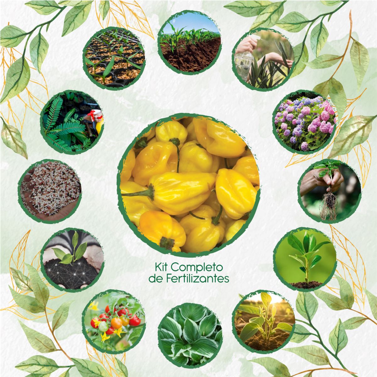 GENERICO - Kit Completo De Fertilizantes Para Ají Habanero Limón