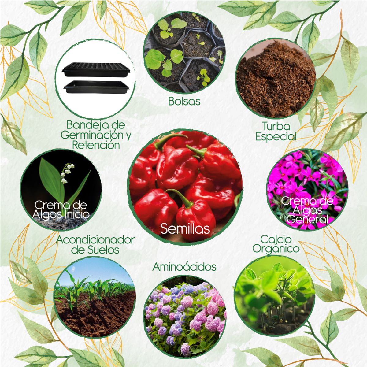 GENERICO - 20 Semillas De Ají Habanero Rojo + Kit Orgánico