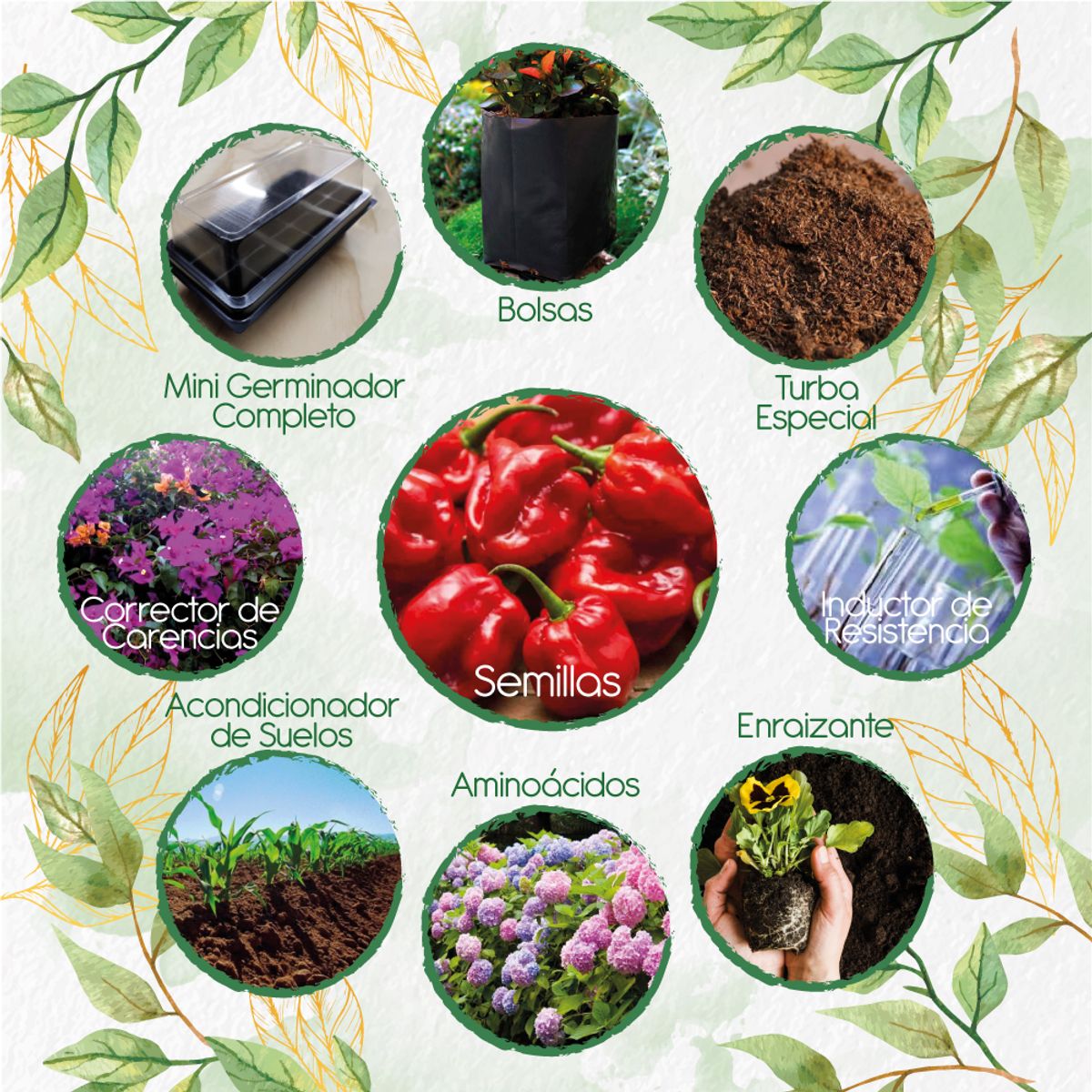 GENERICO - 20 Semillas De Ají Habanero Rojo + Kit Completo De Germinación