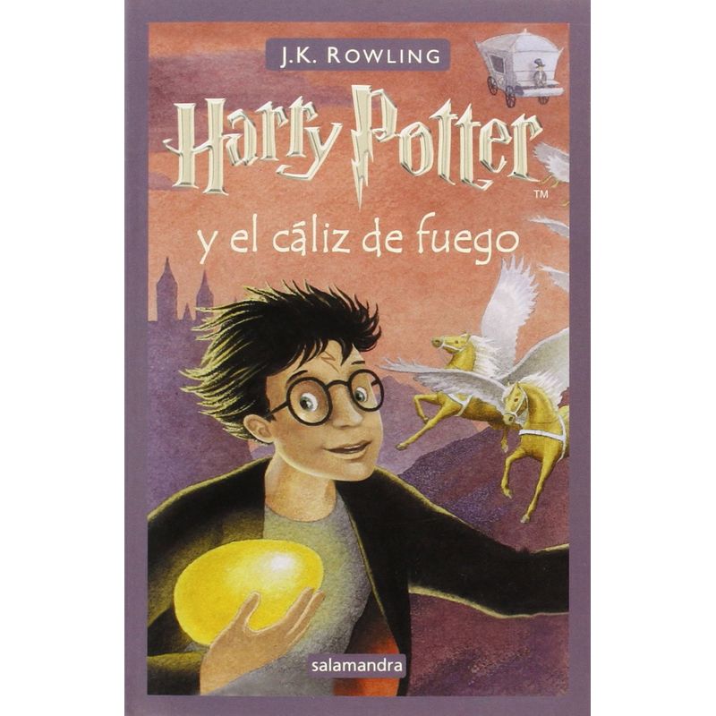 JUGANDO Y EDUCANDO - Libro Harry Potter Y El Cáliz De Fuego Para Niños