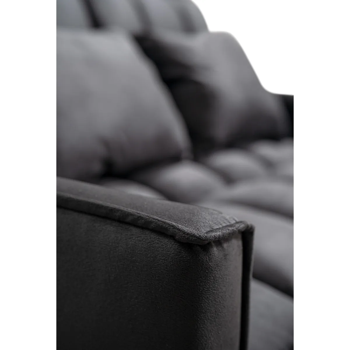 MUEBLES FIOTTI - Sofa Cama 2 Puestos NegroTela Aeidi