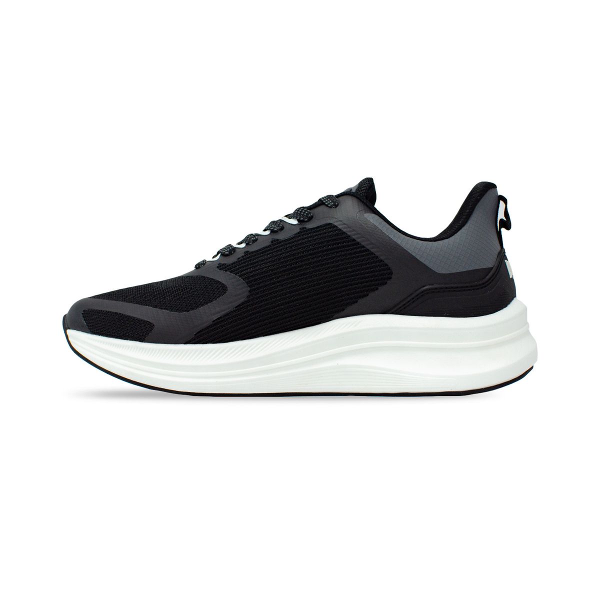 EVERLAST - Tenis Everlast Galant C2 Hombre